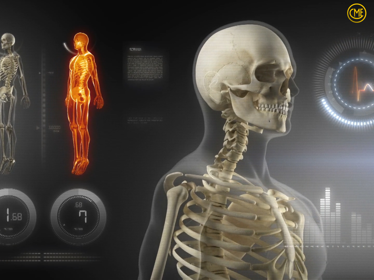 Movement analysis / instructor demo photo