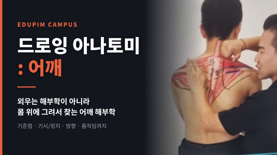 드로잉 아나토미 / SHOULDER