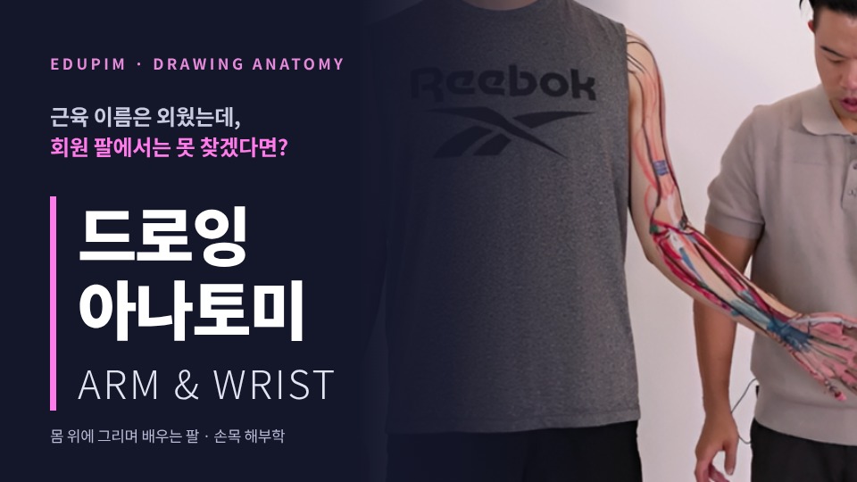 드로잉 아나토미 / ARM & WRIST